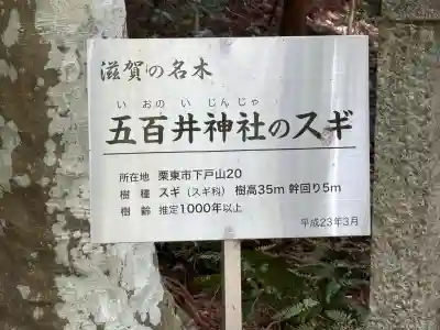 五百井神社の{uncategorized: "未分類", other: "その他", undefined: "問題あり", building: "その他建物", grave: "お墓", sacred_gate: "鳥居", guardian: "狛犬", statue: "像", buddha: "仏像", history: "歴史", nature: "自然", garden: "庭園", animal: "動物", pagoda: "塔", temizu: "手水舎", mountain_gate: "山門・神門", sanctuary: "本殿・本堂", subordinate: "末社・摂社", art: "芸術", scenery: "景色", jizo: "地蔵", ema: "絵馬", goshuin: "御朱印", omikuji: "おみくじ", items: "授与品その他", amulet: "お守り", goshuincho: "御朱印帳", eats: "食事", festival: "お祭り", votive_dance: "神楽", shichigosan: "七五三参", wedding: "結婚式", experience: "体験その他", initially: "初詣", around: "周辺", anti_infection: "感染症対策"}