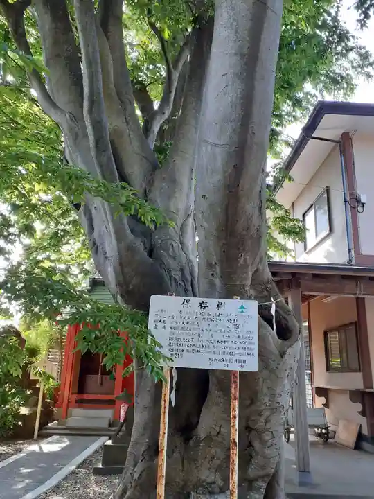 三皇熊野神社本宮(秋田県)