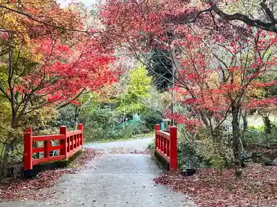 神藏寺(京都府)