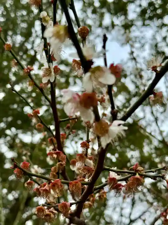 備後天満神社(兵庫県)