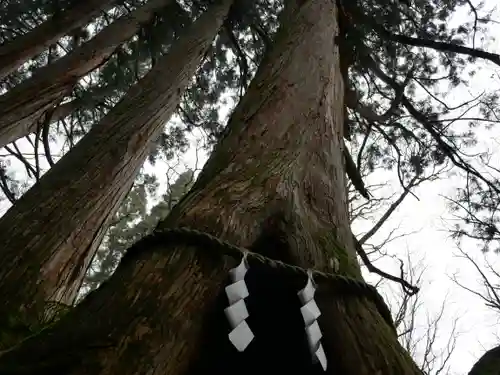 戸隠神社奥社の建物その他