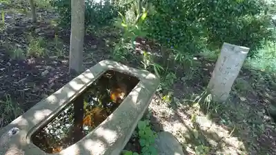 若宮神明社の手水舎