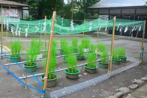 小平神明宮(東京都)