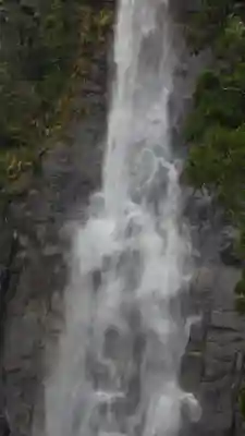 飛瀧神社（熊野那智大社別宮）の{uncategorized: "未分類", other: "その他", undefined: "問題あり", building: "その他建物", grave: "お墓", sacred_gate: "鳥居", guardian: "狛犬", statue: "像", buddha: "仏像", history: "歴史", nature: "自然", garden: "庭園", animal: "動物", pagoda: "塔", temizu: "手水舎", mountain_gate: "山門・神門", sanctuary: "本殿・本堂", subordinate: "末社・摂社", art: "芸術", scenery: "景色", jizo: "地蔵", ema: "絵馬", goshuin: "御朱印", omikuji: "おみくじ", items: "授与品その他", amulet: "お守り", goshuincho: "御朱印帳", eats: "食事", festival: "お祭り", votive_dance: "神楽", shichigosan: "七五三参", wedding: "結婚式", experience: "体験その他", initially: "初詣", around: "周辺", anti_infection: "感染症対策"}