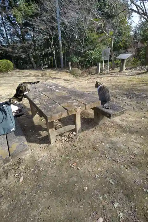 玉野御嶽神社(愛知県)