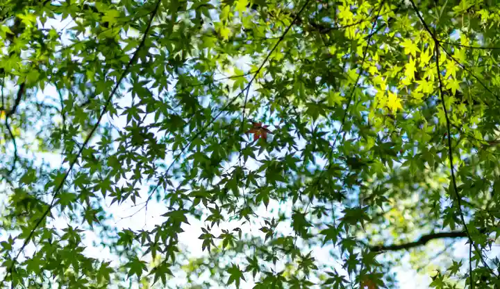 速谷神社(広島県)