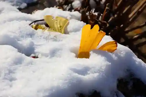 熊野福藏神社(福島県)