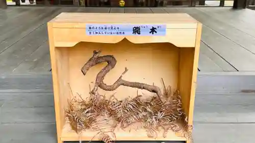 大井神社(京都府)