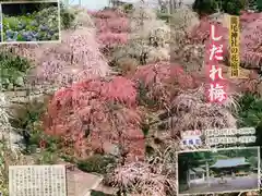 龍尾神社の授与品その他