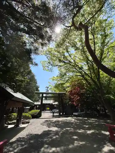 琴似神社の鳥居