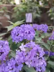 瀬戸神社(神奈川県)