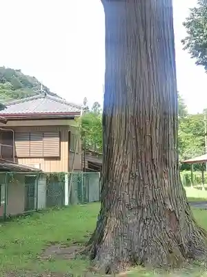 古鷹神社(埼玉県)