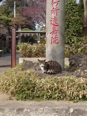 法華経寺(千葉県)