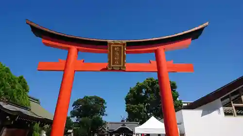 姫嶋神社の鳥居