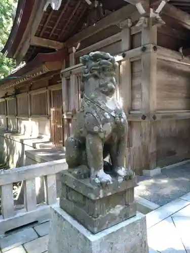 彌彦神社の狛犬