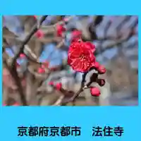 後白河院御聖蹟 法住寺の自然