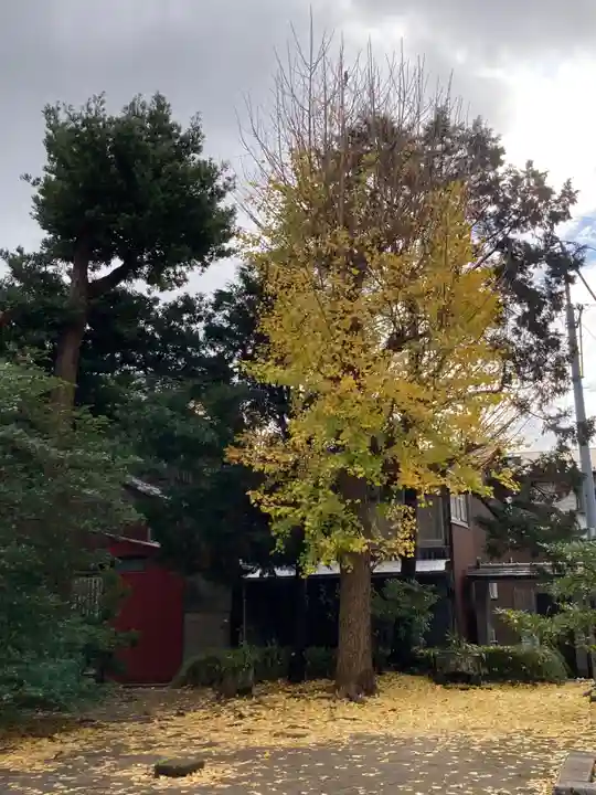 八坂大神の自然