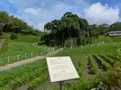 東堂山 満福寺（昭和羅漢）(福島県)