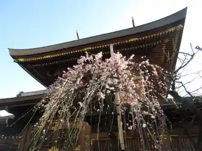 湯島天満宮の本殿・本堂