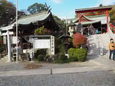 針綱神社の周辺