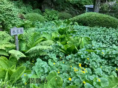 満願寺(長野県)