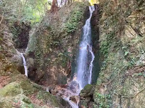 聖寳寺の庭園