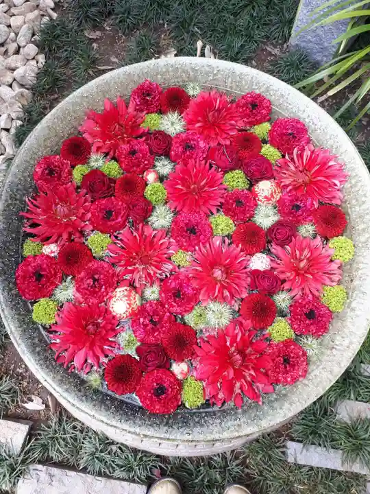 行田八幡神社の手水舎