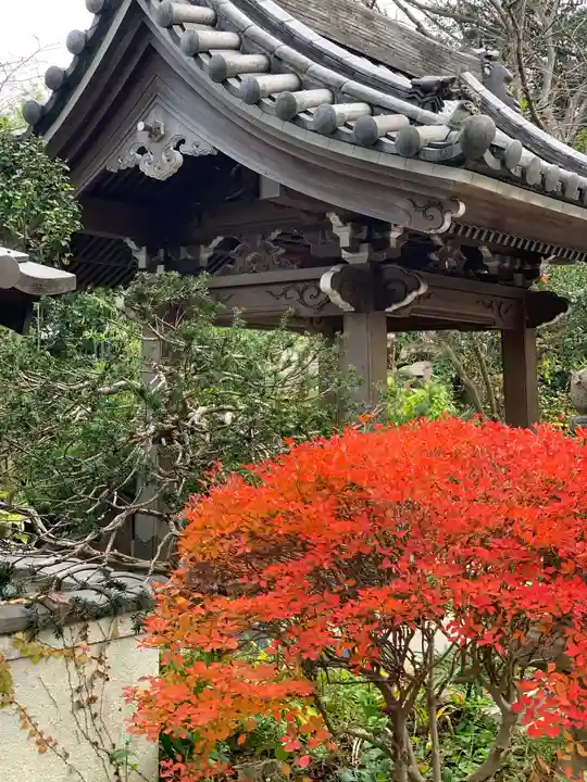 本乗寺のその他建物