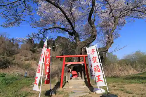 宇賀神さまの鳥居