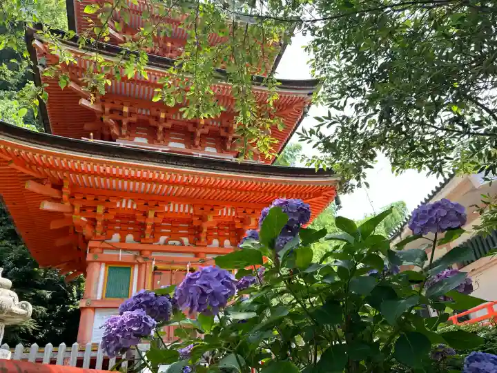 宝厳寺(滋賀県)