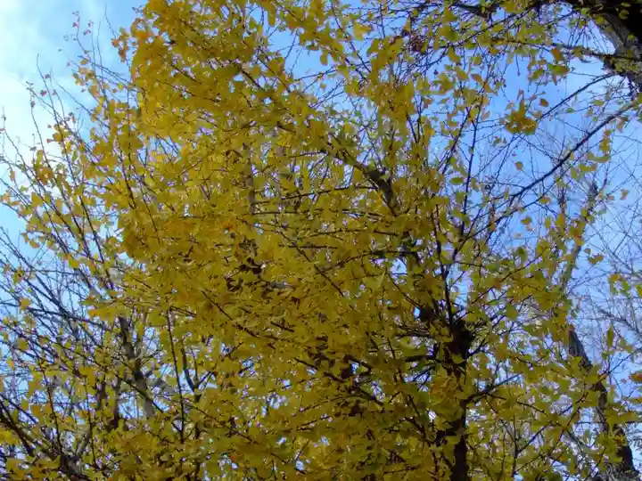 正円寺(山口県)