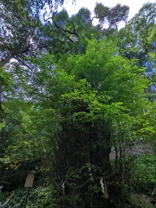 貴船神社(京都府)