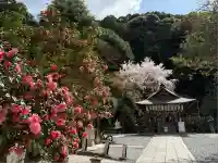 大豊神社(京都府)