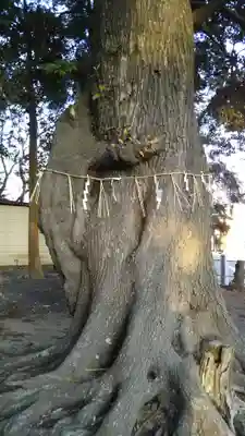 静神社のその他建物
