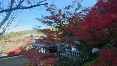 南法華寺（壷阪寺）(奈良県)