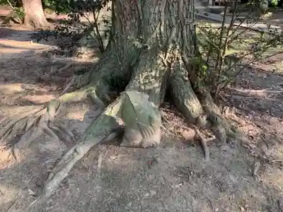 横田神社の自然