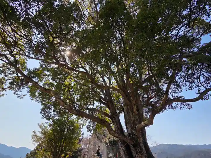 サムハラ神社 奥の宮(岡山県)