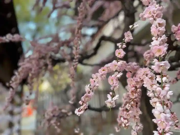 生田神社(兵庫県)