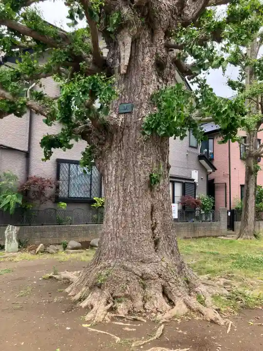五北天祖神社の{uncategorized: "未分類", other: "その他", undefined: "問題あり", building: "その他建物", grave: "お墓", sacred_gate: "鳥居", guardian: "狛犬", statue: "像", buddha: "仏像", history: "歴史", nature: "自然", garden: "庭園", animal: "動物", pagoda: "塔", temizu: "手水舎", mountain_gate: "山門・神門", sanctuary: "本殿・本堂", subordinate: "末社・摂社", art: "芸術", scenery: "景色", jizo: "地蔵", ema: "絵馬", goshuin: "御朱印", omikuji: "おみくじ", items: "授与品その他", amulet: "お守り", goshuincho: "御朱印帳", eats: "食事", festival: "お祭り", votive_dance: "神楽", shichigosan: "七五三参", wedding: "結婚式", experience: "体験その他", initially: "初詣", around: "周辺", anti_infection: "感染症対策"}