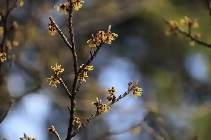 豊景神社の自然