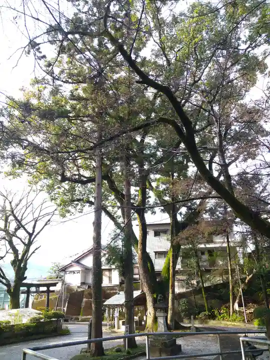 若一王子宮(高知県)