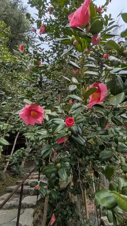 大豊神社(京都府)