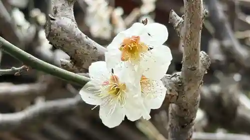 長泉院(埼玉県)