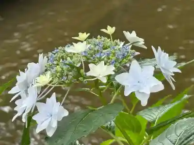 平塚八幡宮(神奈川県)
