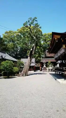 立木神社のその他建物