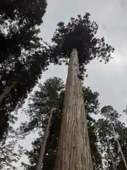 熊野神社の自然