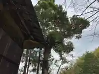 熊野神社のその他建物