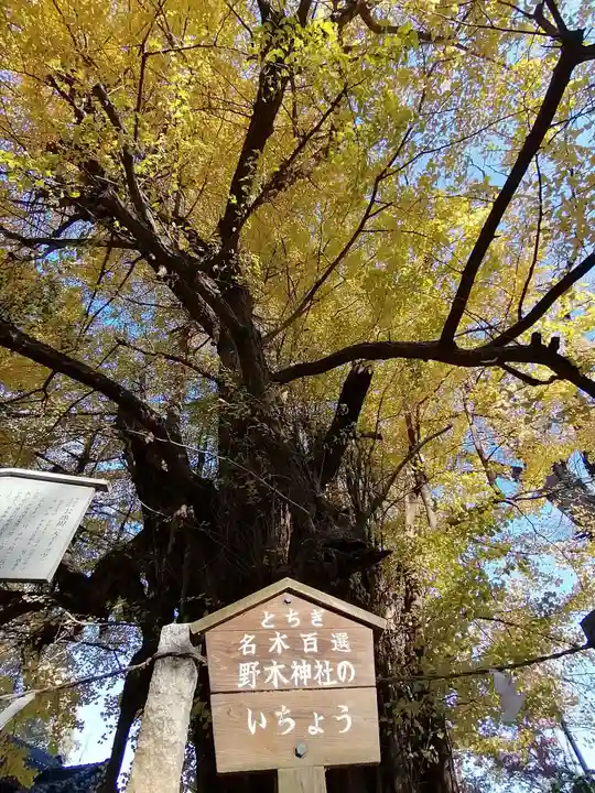 野木神社の自然
