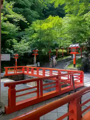 鞍馬寺(京都府)