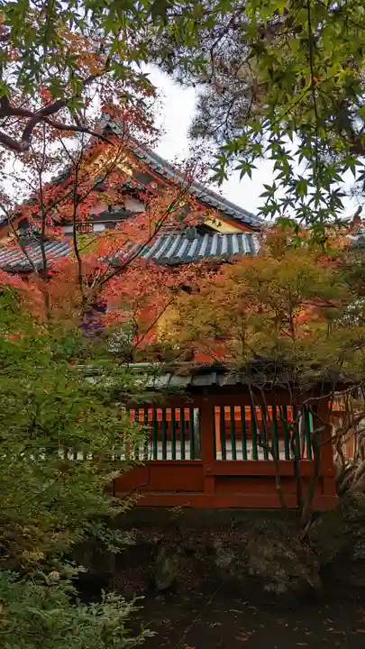 毘沙門堂門跡(京都府)